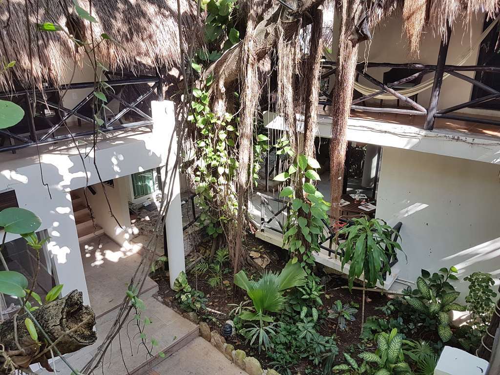 Hotel Club Yebo Playa del Carmen Amenities foto